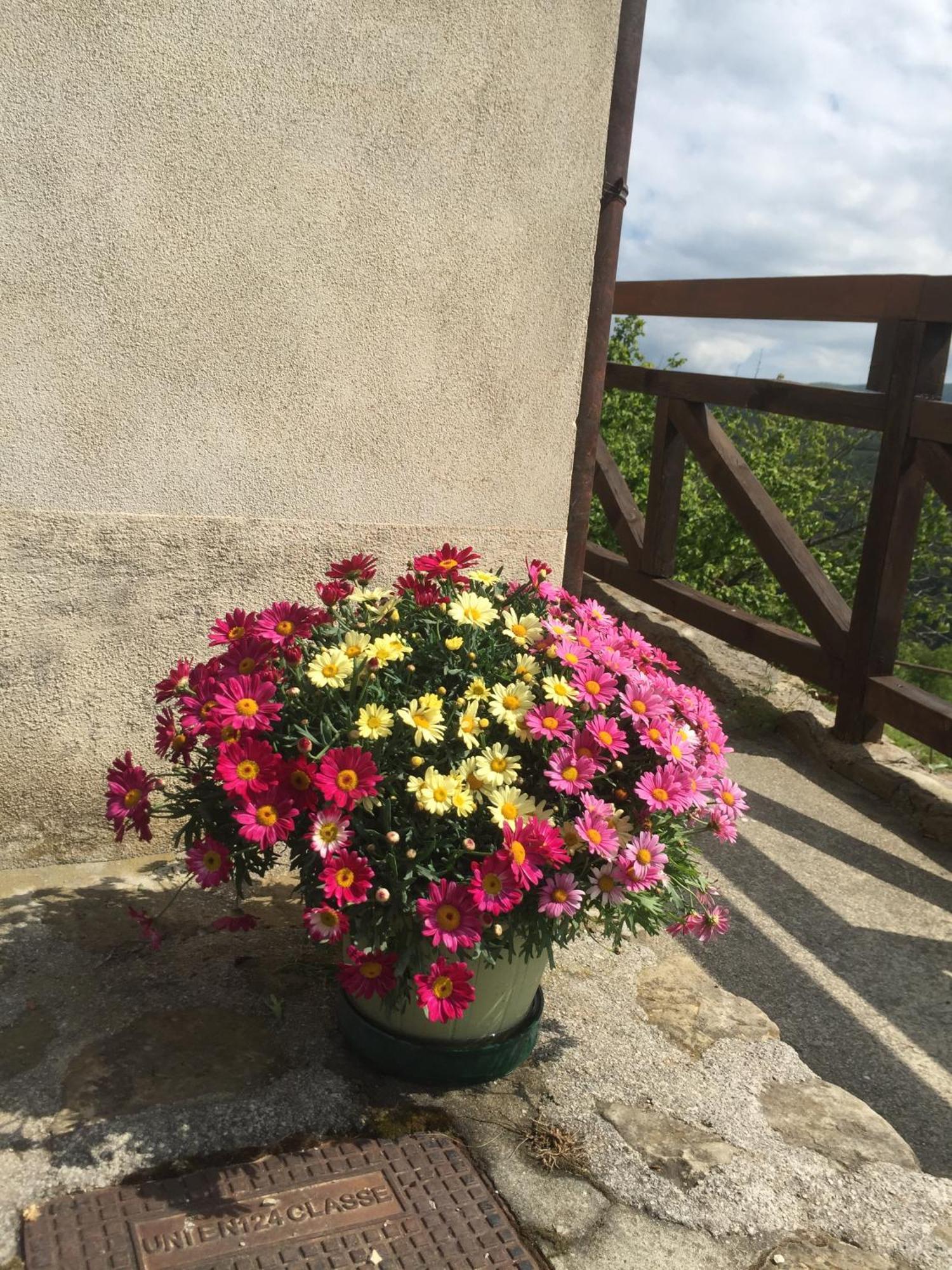Residenza Cima Le Vigne Bed and Breakfast Millesimo Rum bild